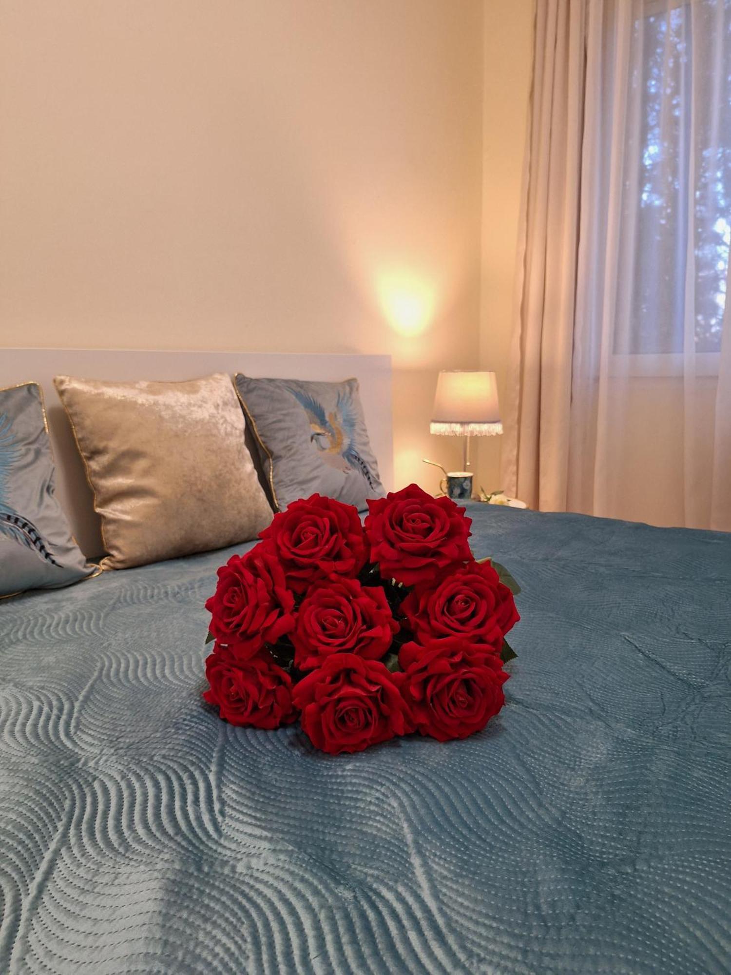 Albina Apartman Eger Ngoại thất bức ảnh